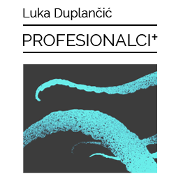 luka.profesionalci@gmail.com